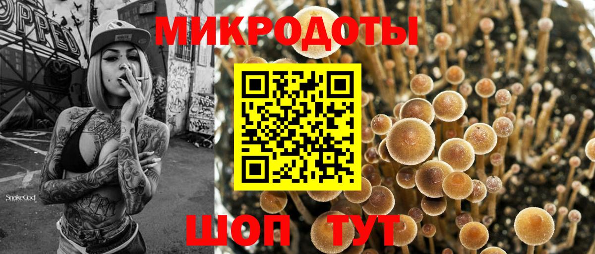 Псилоцибиновые грибы мицелий  купить наркотик  Гусь-Хрустальный  Вход с VPN 